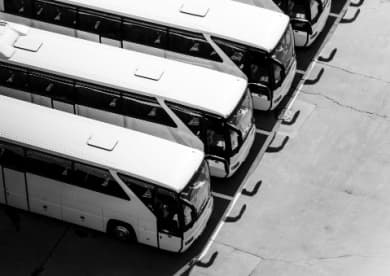 a fleet of full size charter buses